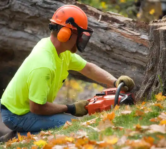 tree services Leitchfield